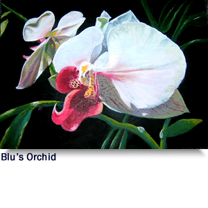 Blu's Orchid